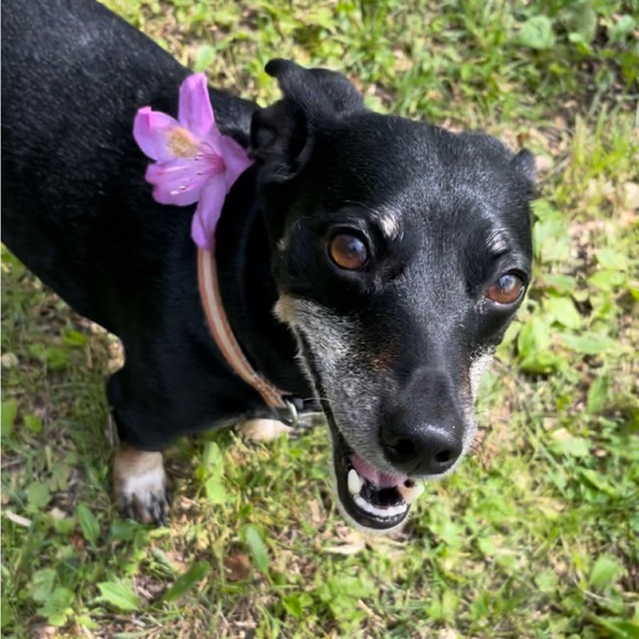 Meet your Posher, Autumn - Picture 7 of 16